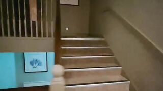 Cat Trying to Catch a Fly in Slow Motion! 6