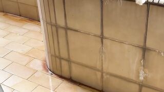 Cat Hissing at its Own Reflection! 15