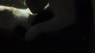 CAT NIGHT