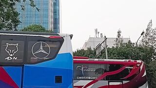 Terminal Bus