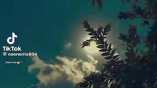 Dil tur ty nahi dil jord k