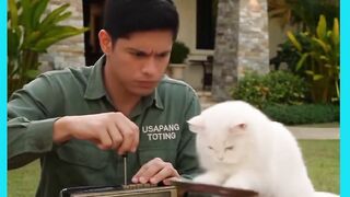 GATOS FICA MUITO BRAVO