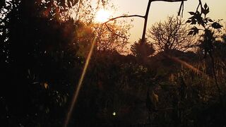 Sunrise 🌞 beautiful 🌅 Nature ✴️.
