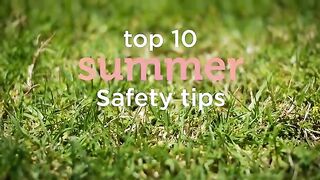 Safety Your pet - summer