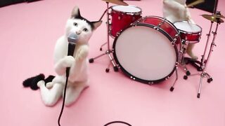 Animals dance 2