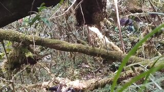 Still Navigating an Extreme Trail