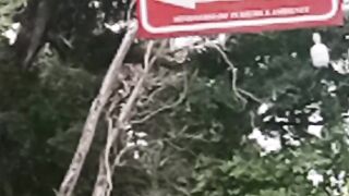 Loi Hunu waterfall Viqueque