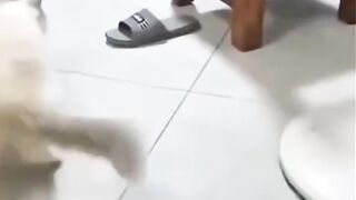 Size doesn't matter 2