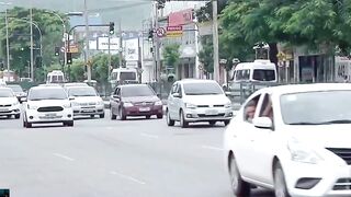 Emu que corre pelas ruas do RJ viraliza e é resgatado em cativeiro irregular