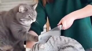 🤣🤣Funny Video🤣🤣