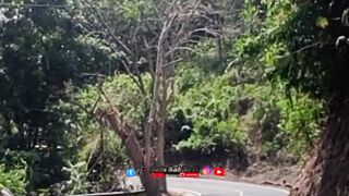 "Enjoying a Thrilling Ride with 'Harapan Putra Jaya' Tourist Bus"
