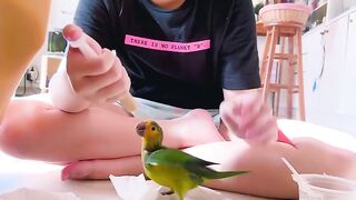 The Cutest Kitten Video on the Internet! 🥺 7