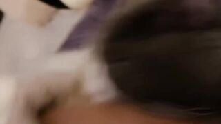 Cat Smelling a Lemon for the First Time! 6