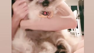 Cat Singing a Song! Hilarious Meow! 18