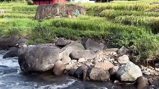 Views with beautiful natural scenery