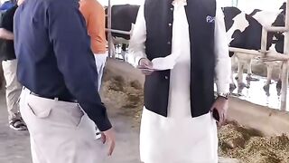 Amir Mehmood 2