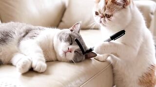 Cat Sneaks into the Fridge Again! 15