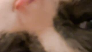 Cat Reacts to Owner's Sneeze! 17