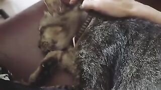 Cat Sitting Like a Boss on the Couch! 15