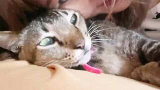 Cat Massage Spa Day! So Relaxed! 20
