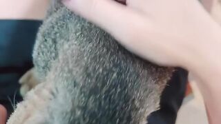 Cat Refusing to Wake Up! Heavy Sleeper! 20