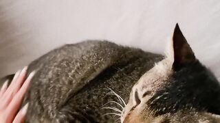 Cat Sneezing Fit in Slow Motion! 17