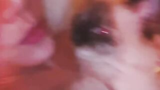 Cat Wakes up Confused! 19
