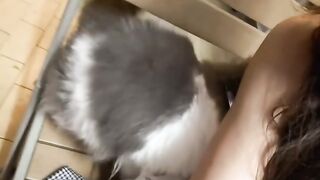 Cat Hugging a Dog to Sleep! 16
