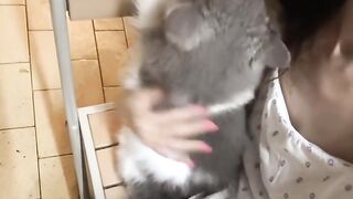Cat Sitting on the Wi-Fi Router! 17