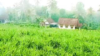 Serenity in the Hidden Green Village