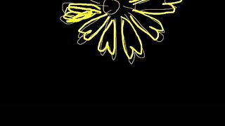 Sun flower 2