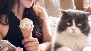 Cat Obsessed with a Cotton Swab! 19