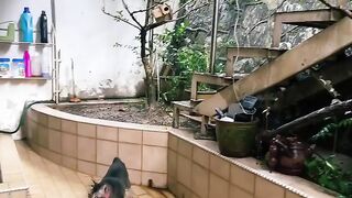 Cat Purring Like a V8 Engine! 18