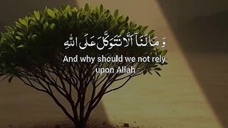 Tilawat e Quran Majeed 156
