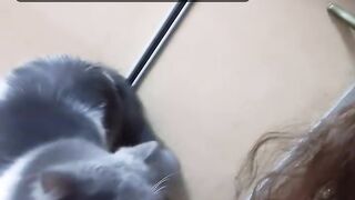Cat Refusing to Give Up the Remote! 17