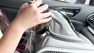 Cat Waking Up Confused from a Nap! 6