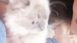Cat Tries to Drink from the Shower! 🚿 7