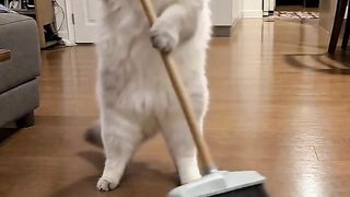 Cat Wakes Me Up at 5 AM Every Day! 7