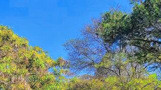 Life in our country Kenya