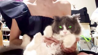 Cat Hiding under a Tiny Rug! 8