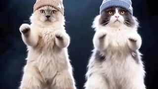 Cat Refuses to Walk on Leash! 😂 22