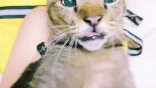 Cat Stealing Pizza Slice in 4K! 22