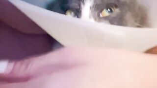 Cat Getting a Brain Freeze! 😂 20