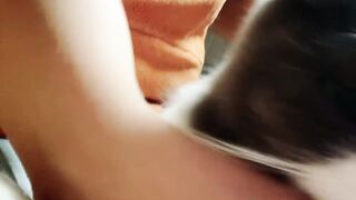 Cat Caught Stealing a Chicken Nugget! 20