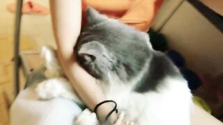 Cat Brings a Live Frog into the House! 20
