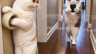 Cat Stealing a Piece of Broccoli! 17