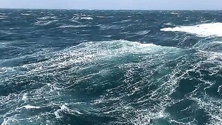 Atlantic Ocean 🌊🌊🌊