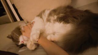 Cat Falling Asleep on Owner's Face! 24