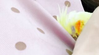 Cat Enjoying a Sunbeam! Aesthetic Video! 20