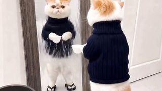 Cat Adopts an Orphaned Squirrel! 22